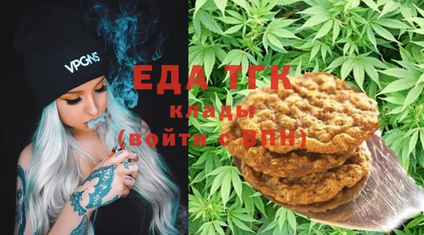 ПСИЛОЦИБИНОВЫЕ ГРИБЫ Горно-Алтайск