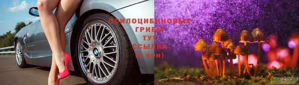apvp Горняк