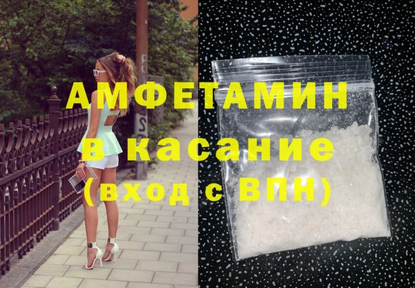 стаф Вязьма