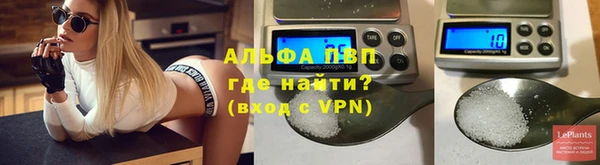 ПСИЛОЦИБИНОВЫЕ ГРИБЫ Горно-Алтайск