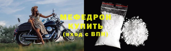 стаф Вязьма
