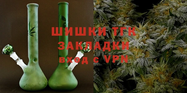 стаф Вязьма