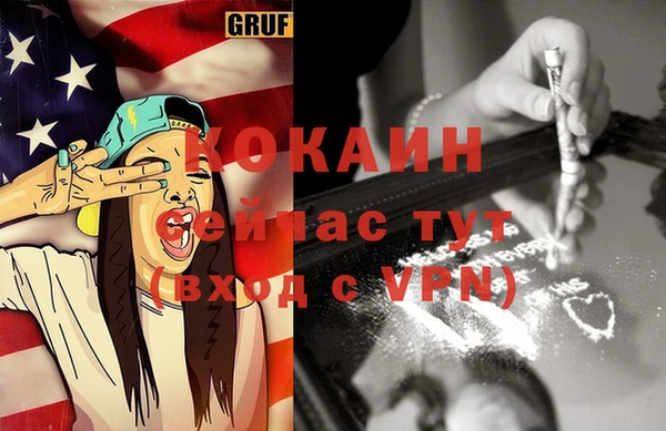 ПСИЛОЦИБИНОВЫЕ ГРИБЫ Горно-Алтайск
