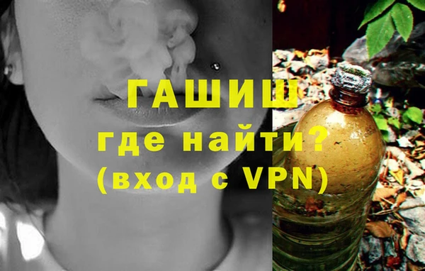 стаф Вязьма