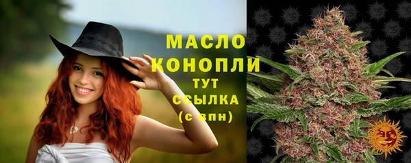 apvp Горняк