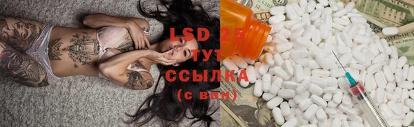 стаф Вязьма