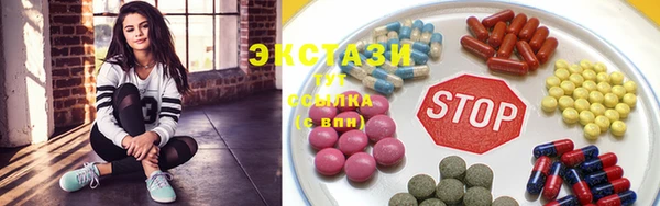 стаф Вязьма