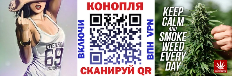 Бошки Шишки MAZAR  Находка 